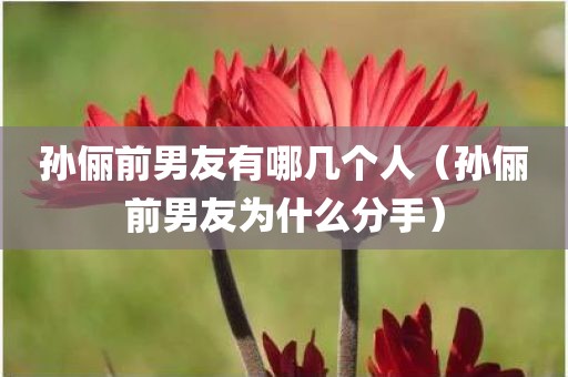 孙俪前男友有哪几个人（孙俪前男友为什么分手）