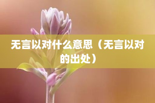 无言以对什么意思（无言以对的出处）