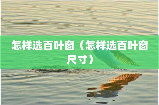 怎样选百叶窗（怎样选百叶窗尺寸）