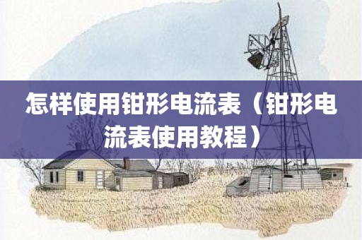 怎样使用钳形电流表（钳形电流表使用教程）