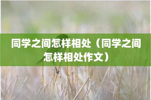 同学之间怎样相处（同学之间怎样相处作文）