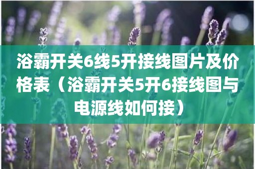 浴霸开关6线5开接线图片及价格表（浴霸开关5开6接线图与电源线如何接）