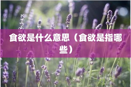 食欲是什么意思（食欲是指哪些）
