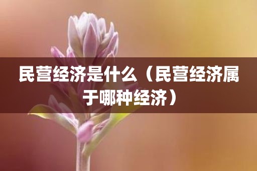 民营经济是什么（民营经济属于哪种经济）