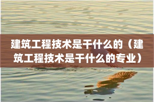 建筑工程技术是干什么的（建筑工程技术是干什么的专业）