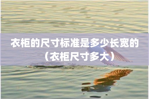 衣柜的尺寸标准是多少长宽的(衣柜尺寸多大)