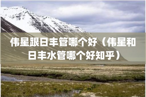 伟星跟日丰管哪个好（伟星和日丰水管哪个好知乎）