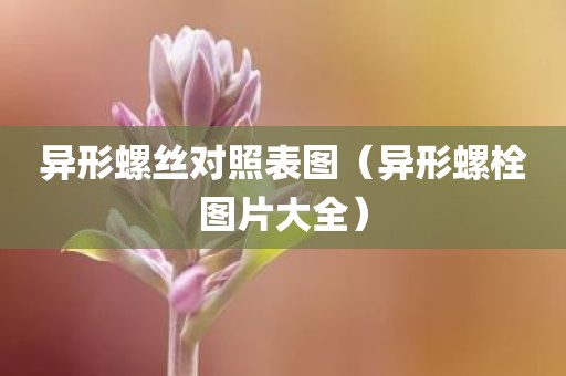 异形螺丝对照表图（异形螺栓图片大全）