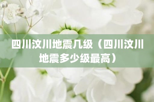 四川汶川地震几级（四川汶川地震多少级最高）