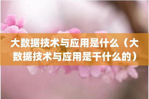 大数据技术与应用是什么（大数据技术与应用是干什么的）