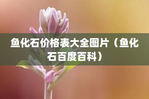 鱼化石价格表大全图片（鱼化石百度百科）
