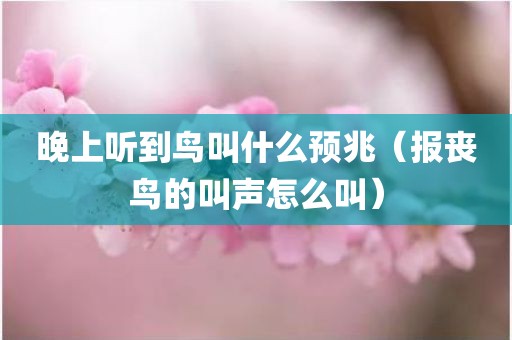 晚上听到鸟叫什么预兆（报丧鸟的叫声怎么叫）