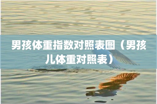 男孩体重指数对照表图（男孩儿体重对照表）