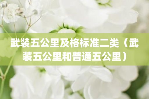 武装五公里及格标准二类(武装五公里和普通五公里) 武装五公里及格标准二类(武装五公里和普通五公里)