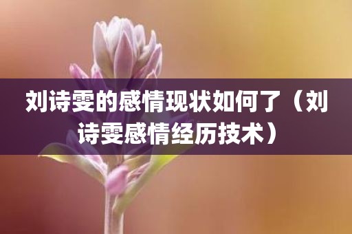 刘诗雯的感情现状如何了（刘诗雯感情经历技术）
