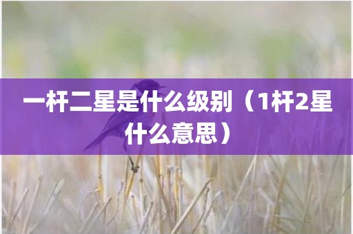 一杆二星是什么级别（1杆2星什么意思）