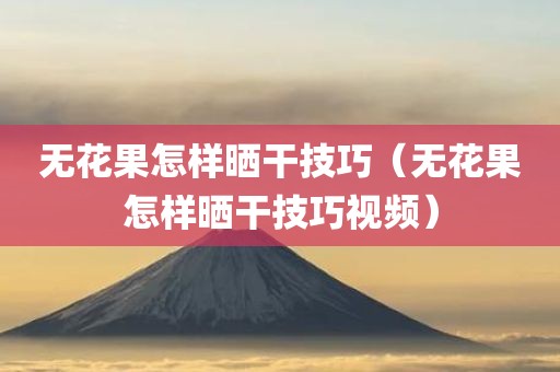 无花果怎样晒干技巧（无花果怎样晒干技巧视频）