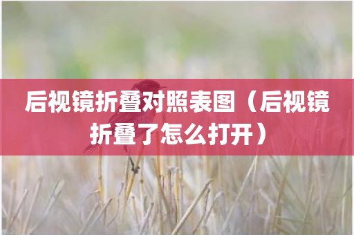 后视镜折叠对照表图（后视镜折叠了怎么打开）