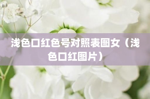 浅色口红色号对照表图女（浅色口红图片）