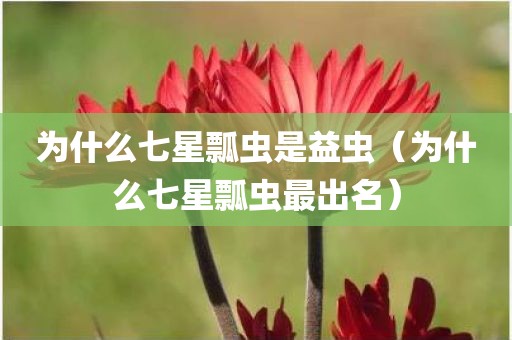 为什么七星瓢虫是益虫（为什么七星瓢虫最出名）