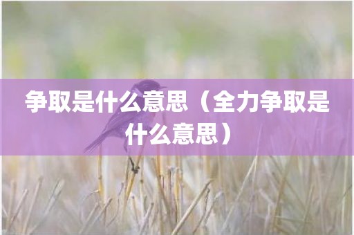 争取是什么意思(全力争取是什么意思)