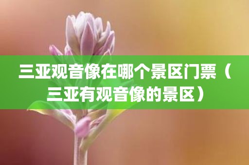 三亚观音像在哪个景区门票（三亚有观音像的景区）