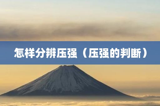 怎样分辨压强（压强的判断）