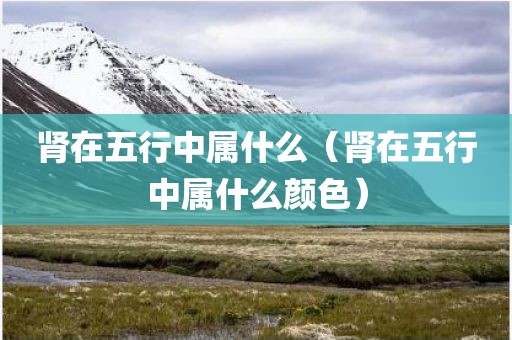 肾在五行中属什么（肾在五行中属什么颜色）