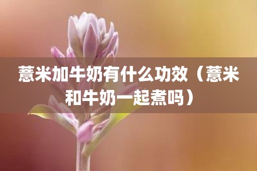 薏米加牛奶有什么功效（薏米和牛奶一起煮吗）