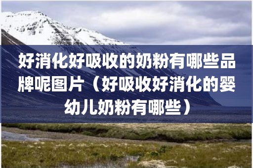 好消化好吸收的奶粉有哪些品牌呢图片（好吸收好消化的婴幼儿奶粉有哪些）