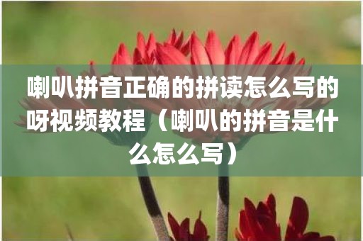 喇叭拼音正确的拼读怎么写的呀视频教程（喇叭的拼音是什么怎么写）