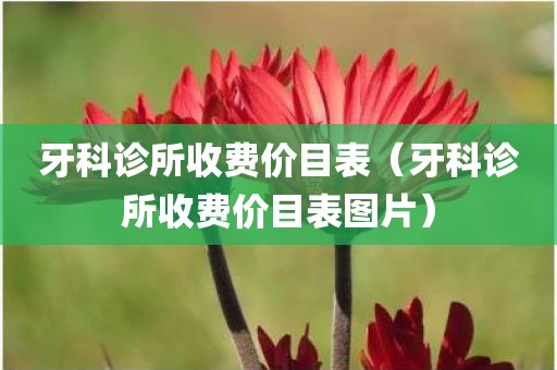 牙科诊所收费价目表（牙科诊所收费价目表图片）