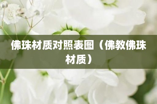 佛珠材质对照表图（佛教佛珠材质）