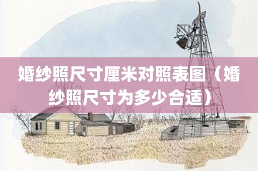 婚纱照尺寸厘米对照表图（婚纱照尺寸为多少合适）