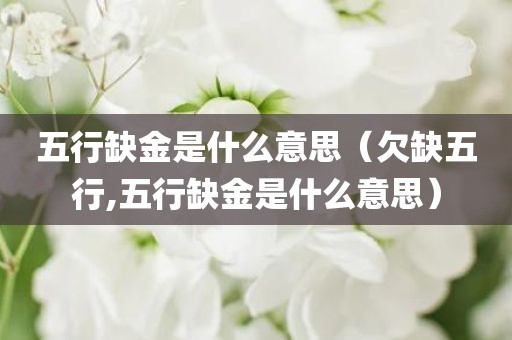 五行缺金是什么意思（欠缺五行,五行缺金是什么意思）