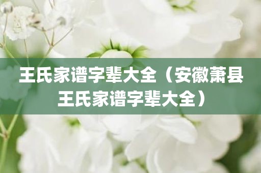 王氏家谱字辈大全（安徽萧县王氏家谱字辈大全）