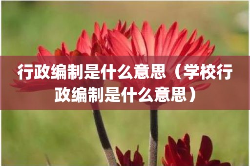 行政编制是什么意思（学校行政编制是什么意思）