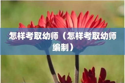 怎样考取幼师（怎样考取幼师编制）
