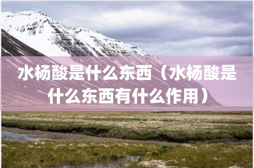 水杨酸是什么东西（水杨酸是什么东西有什么作用）