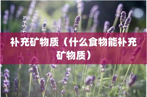 补充矿物质（什么食物能补充矿物质）