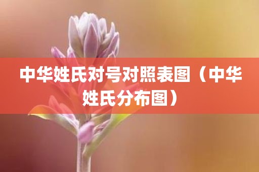 中华姓氏对号对照表图（中华姓氏分布图）