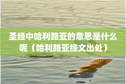 圣经中哈利路亚的意思是什么呢（哈利路亚经文出处）