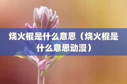 烧火棍是什么意思(烧火棍是什么意思动漫)