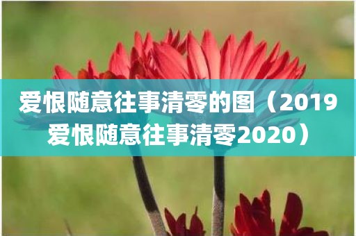 爱恨随意往事清零的图（2019爱恨随意往事清零2020）