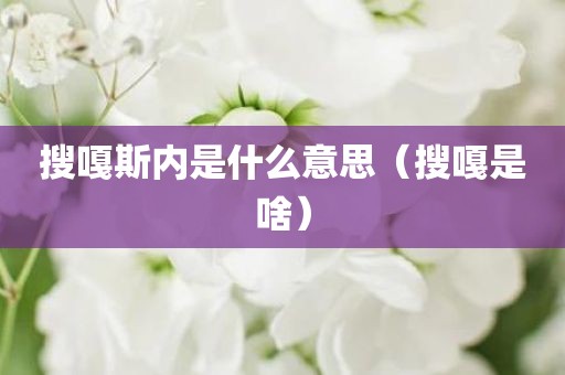 搜嘎斯内是什么意思（搜嘎是啥）