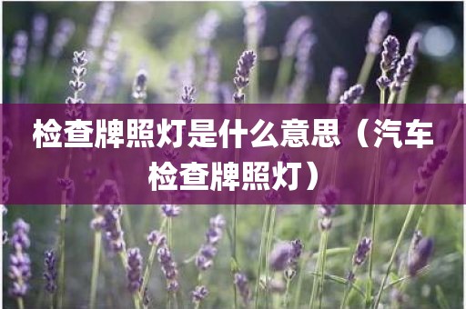 检查牌照灯是什么意思(汽车检查牌照灯)