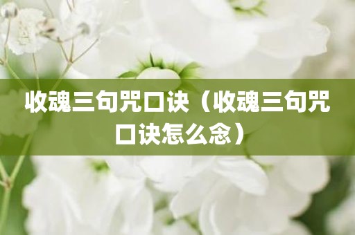 收魂三句咒口诀（收魂三句咒口诀怎么念）