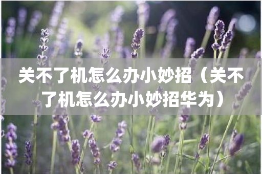关不了机怎么办小妙招（关不了机怎么办小妙招华为）