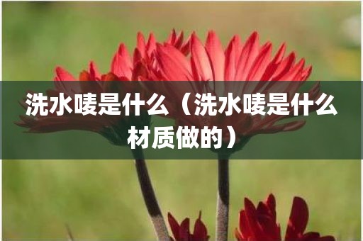 洗水唛是什么（洗水唛是什么材质做的）