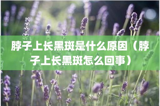 脖子上长黑斑是什么原因（脖子上长黑斑怎么回事）